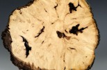 Maple burl #53-74 (10" wide x 1.75" high $115)