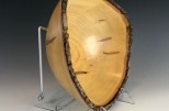 Ambrosia Maple #43-04 (12.5" wide x 5" high $155) VIEW 4