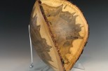 Ambrosia Maple #39-93 (16" wide x 6" high $210) VIEW 4