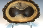 Black Walnut full branch #53-14 (7.25" wide x 4" high $65) VIEW 2