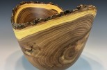 Siberian Elm full log #52-01 (10.5" wide x 8.75" high $175) VIEW 2