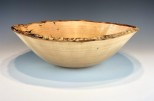 Yellow Birch burl #51-88 (15.25" wide x 5" high $240) VIEW 1