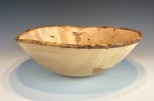 Yellow Birch burl #51-88 (15.25" wide x 5" high $240) VIEW 2