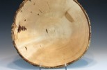 Yellow Birch burl #51-88 (15.25" wide x 5" high $240) VIEW 3