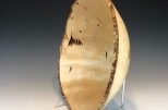 Yellow Birch burl #51-88 (15.25" wide x 5" high $240) VIEW 4