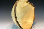 Box elder maple #52-66 (14" wide x 7.5" high $240) VIEW 4