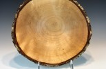 Yellow birch burl #51-87 (12" wide x 5.5" high $170) VIEW 3