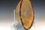 Yellow birch burl #51-87 (12" wide x 5.5" high $170) VIEW 4