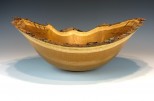 Red mulberry #33-54 (16" wide x 6" high $210) VIEW 1<div></div>