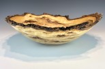 Poplar Burl #41-92 (15.5" wide x 4.5" high $250) VIEW 1<div></div>