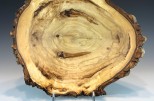 Poplar Burl #41-92 (15.5" wide x 4.5" high $250) VIEW 3