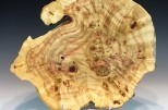 Box Elder burl #53-41 (14.25" wide x 6" high $230) VIEW 1