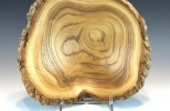 Catalpa #42-71 (10" wide x 3" high $80) VIEW 2