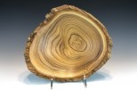 Catalpa #42-72 (10" wide x 3.25" high $80) VIEW 2