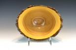 Honey Locust #10-20 (8" wide x 5" high $60) VIEW 3