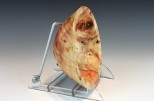 Box Elder burl #650 (5.75" wide x 2.25" high SOLD) VIEW 4