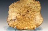 Maple burl #23-22 (9.5" wide x 2.25" high $95) VIEW 1<div></div>