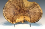 Maple burl #41-93 (9" wide x 2.75" high $80) VIEW 2