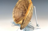 Maple burl #41-93 (9" wide x 2.75" high $80) VIEW 3