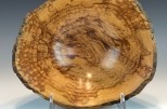 Maple burl #46-49 (9.5" wide x 4" high $105) VIEW 3