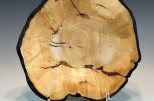Maple burl #46-67 (8" wide x 3.5" high $90) VIEW 3