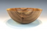 Siberian elm #573 (8.5" wide x 3.25" high $65) VIEW 1<div></div>