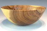 Siberian elm #573 (8.5" wide x 3.25" high $65) VIEW 2