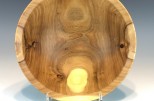 Siberian elm #573 (8.5" wide x 3.25" high $65) VIEW 3