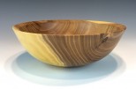 Siberian elm #575 (8.5" wide x 3" high $65) VIEW 2