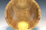 Siberian elm #575 (8.5" wide x 3" high $65) VIEW 3