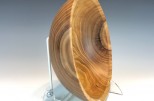 Siberian elm #576 (8.25" wide x 3" high $65) VIEW 3