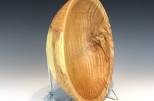 Honey Locust + bronze #538 (9" wide x 3.5" high SOLD) VIEW 4