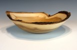 Gray Elm #54-03 (10.75" wide x 3" high $90) VIEW 1