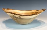 Gray Elm #54-04 (12.75" wide x 4.75" high $150) VIEW 1