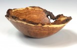 Maple burl #54-57 (8.75" wide x 3.5" high $130) View 1