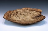 Maple burl - spalted -  #55-66 (19.25" wide x 3.5" high $395) View 2