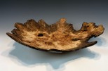 Maple burl #55-67 (20" wide x 4.75" high $450) View 3
