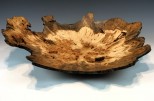 Maple burl #55-67 (20" wide x 4.75" high $450) View 4