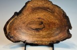 Black Cherry burl #35-66 (9" wide x 2" high $95) View 2