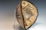 Ambrosia Maple #55-01 (14" wide x 6" high $175) VIEW 4