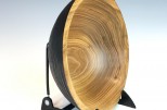 Burned Siberian Elm #702 (8" wide x 3" high $85) VIEW 4