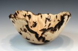 Maple burl #55-46 (8.75" wide x 4.25" high $150) View 1