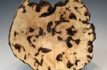 Maple burl #55-46 (8.75" wide x 4.25" high $150) View 3