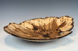 Maple burl #54-20 (19.5" wide x 4" high $435) View 1