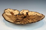 Maple burl #54-20 (19.5" wide x 4" high $435) View 2