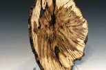 Maple burl #54-20 (19.5" wide x 4" high $435) View 4