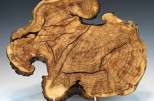 Maple burl #54-19 (16" wide x 2" high $230) View 2