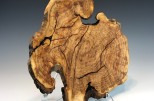 Maple burl #54-19 (16" wide x 2" high $230) View 3