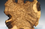 Maple burl #54-18 (16" wide x 2" high $230) View 2