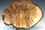 Maple burl #54-22 (15.5" wide x 3.75" high $235) View 2